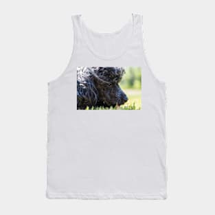 Poodle, Toy 4 Tank Top